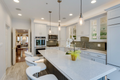 transitional-kitchen-2016_2